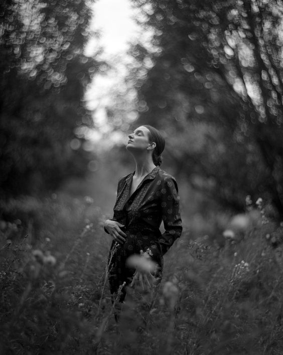 Fig. 12: Phimester, 2017