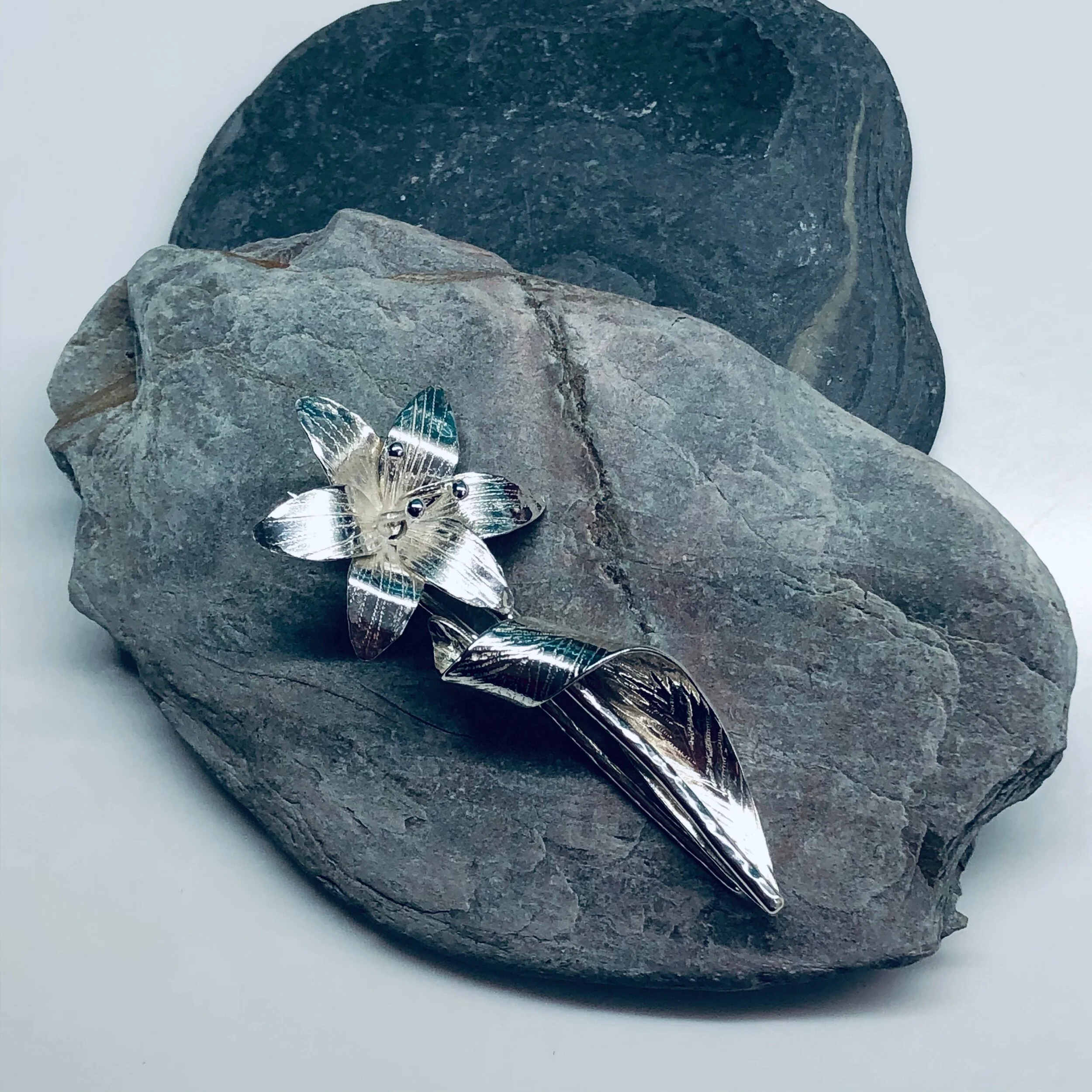 8B973422-04B0-4915-9483-3072C26CB5C3