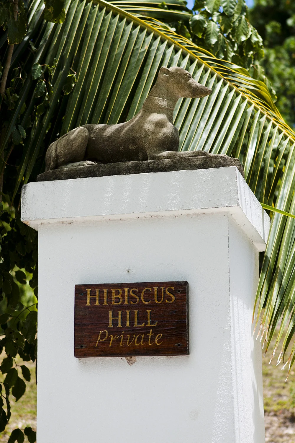 bahamas_set2_017.jpg