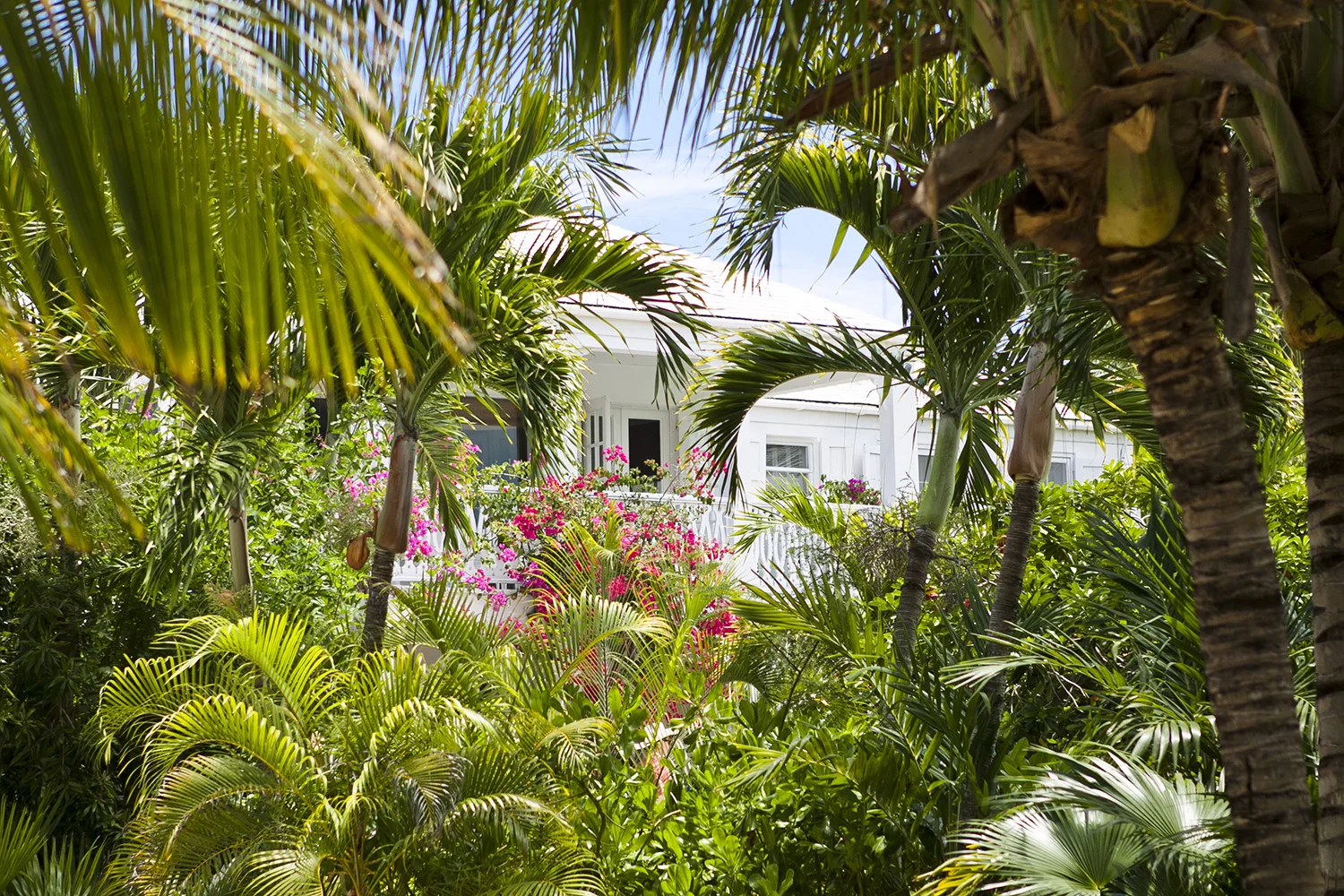 bahamas_set2_018.jpg