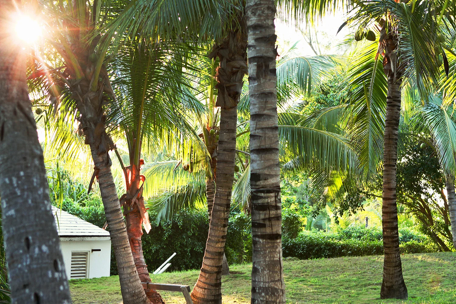 bahamas_set2_027.jpg
