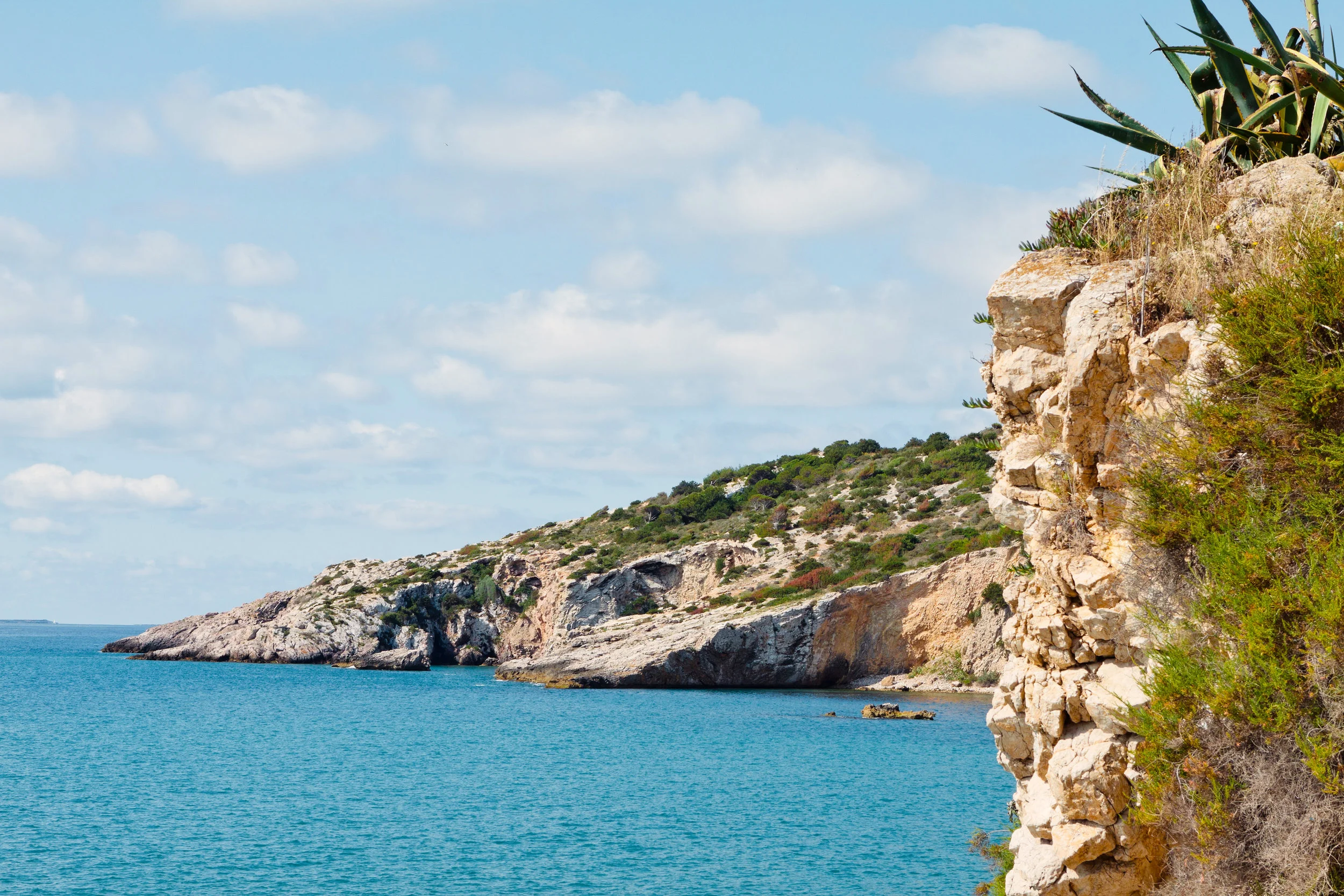 RGB_Ibiza11Enviro_3915.jpg