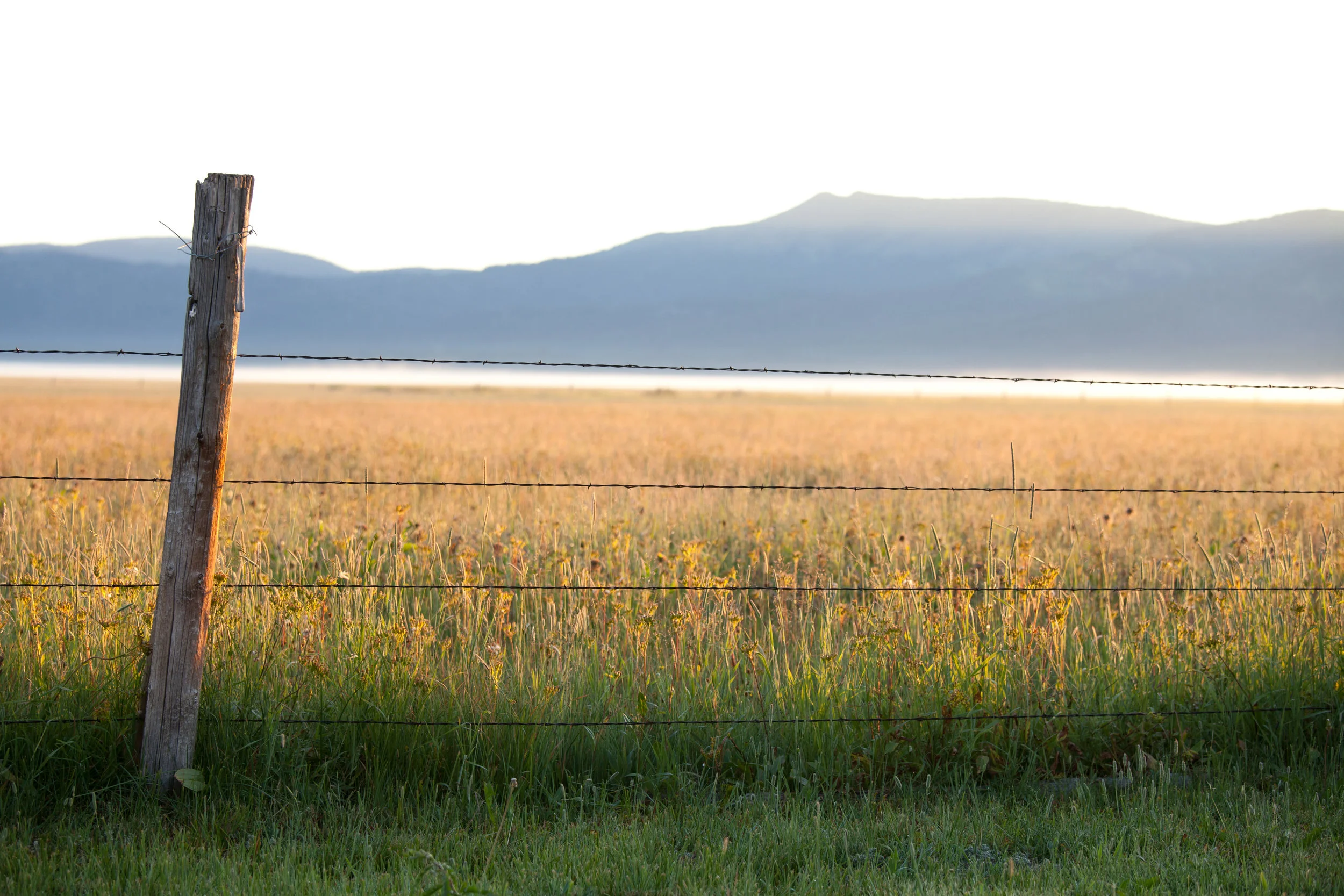 Yellowstone2013-0030.jpg