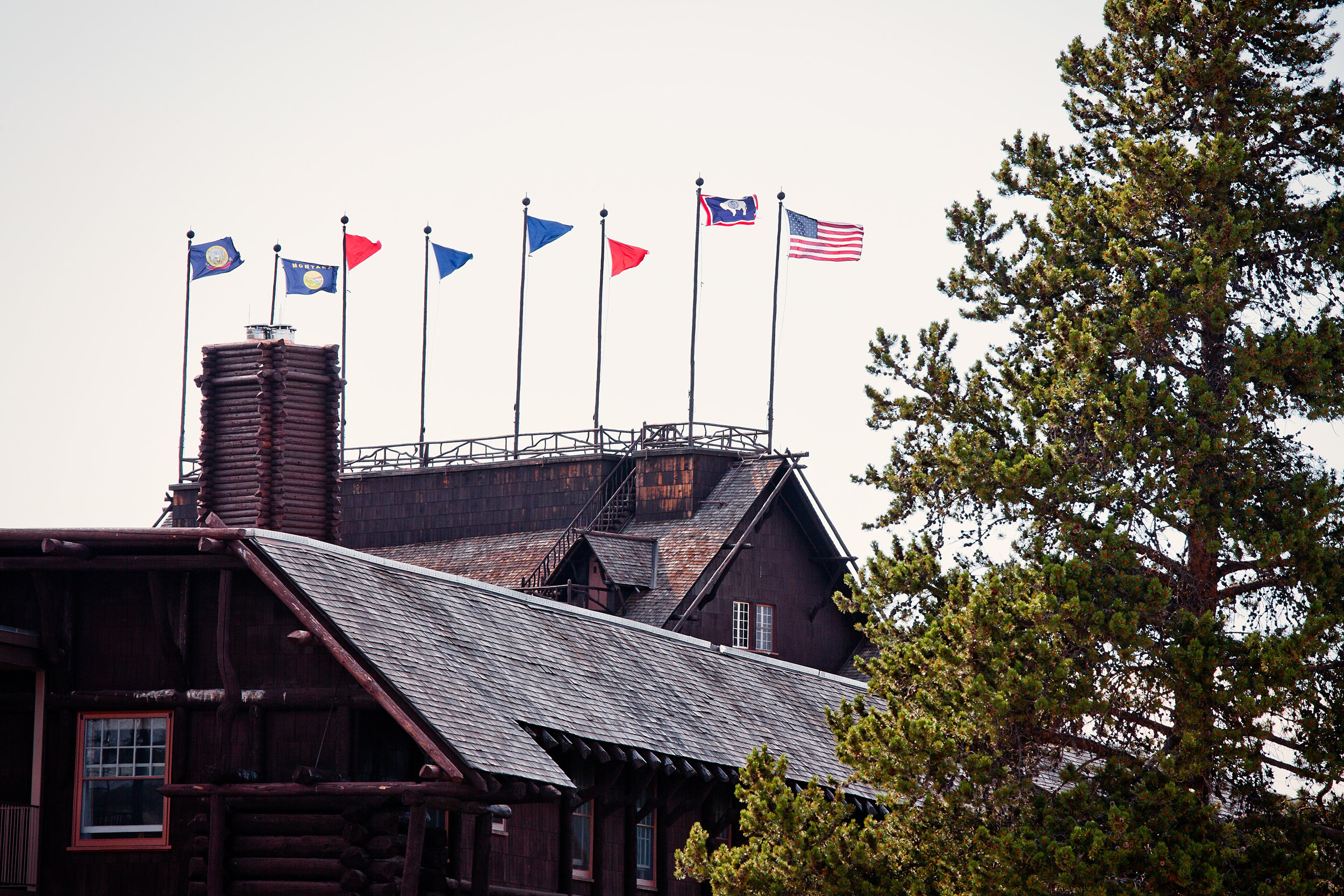 Yellowstone2013-0333.jpg