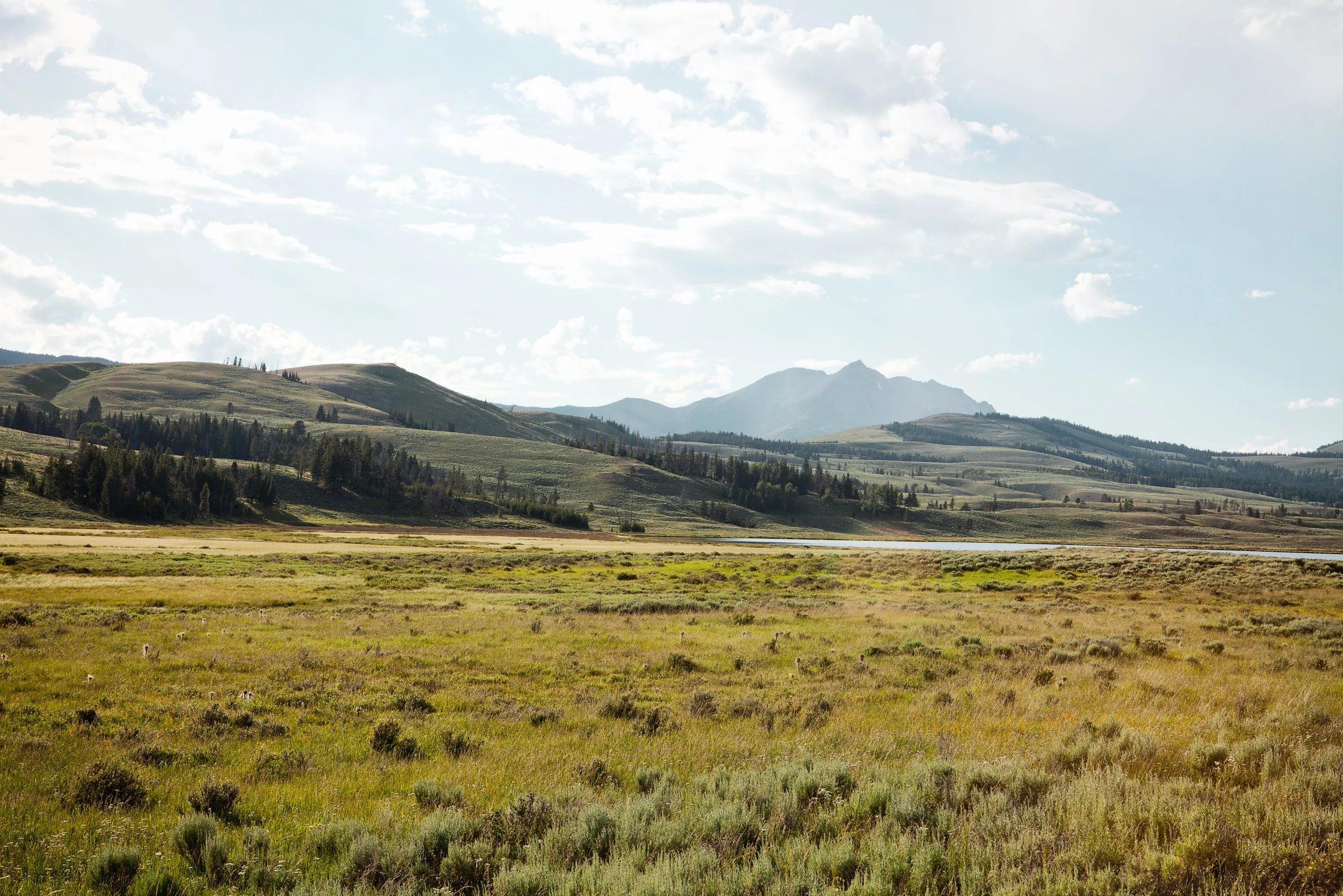 Yellowstone2013-0499.jpg