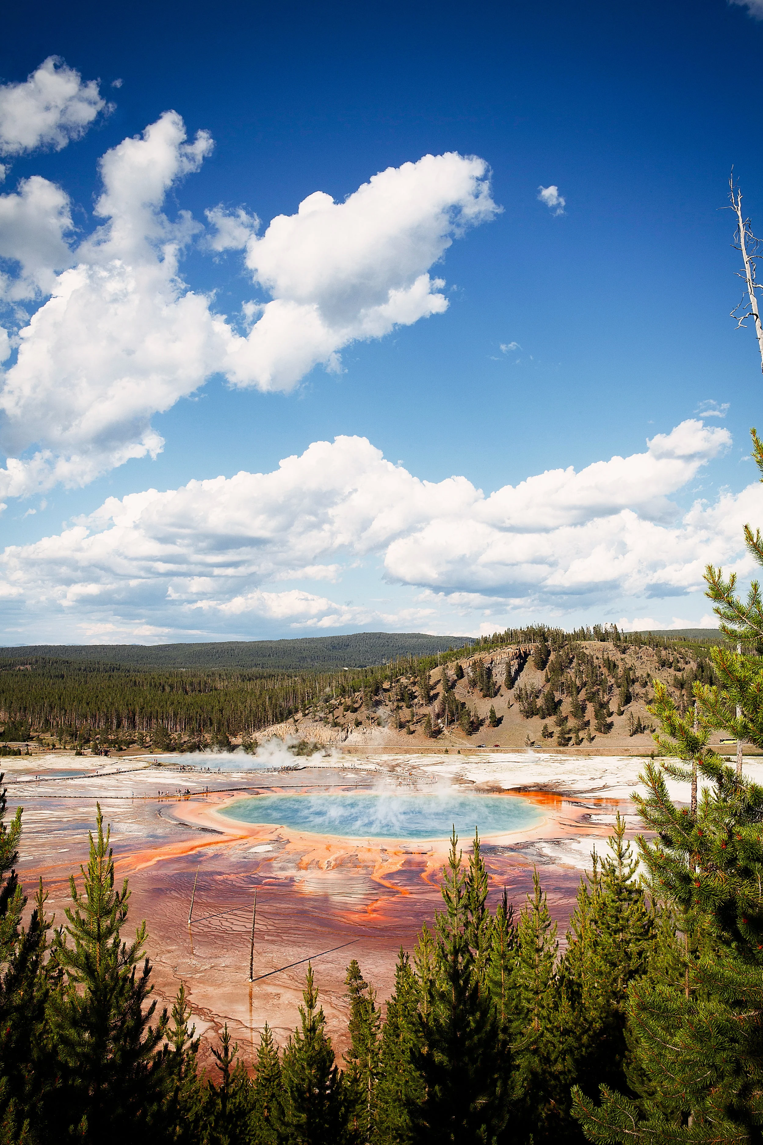 Yellowstone2013-0361.jpg