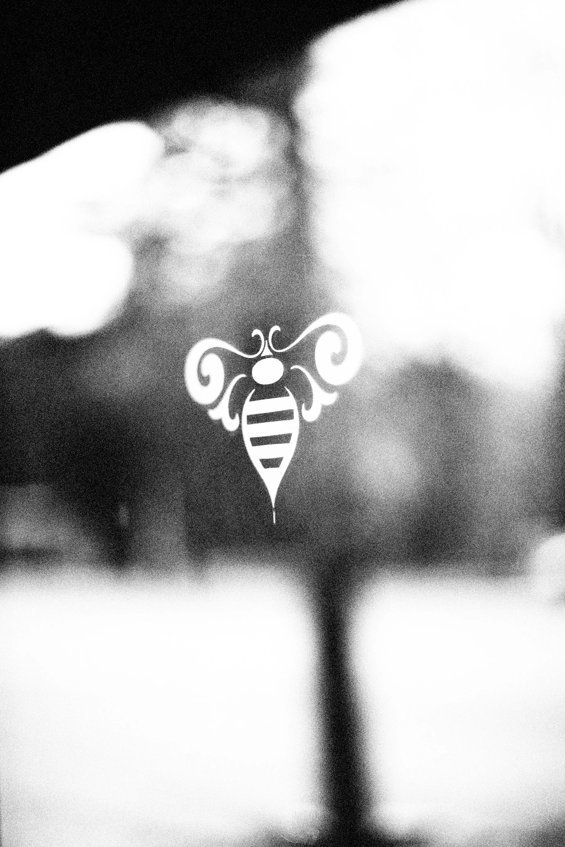 BE12-002-8044_b&w.jpg