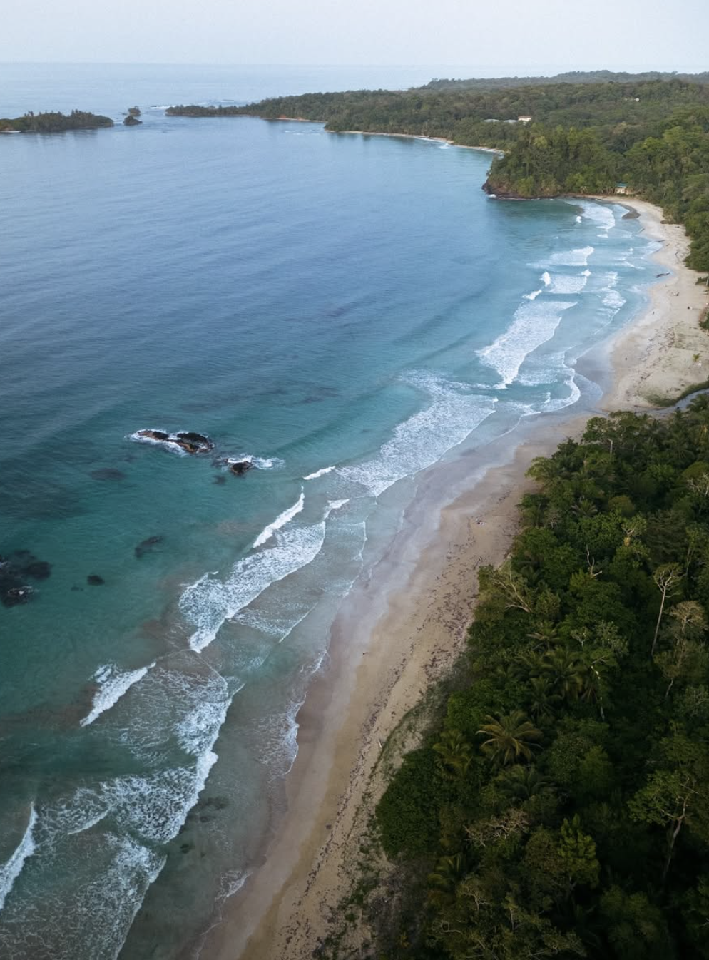 Screenshot 2026-01-19 at 14.05.20.png