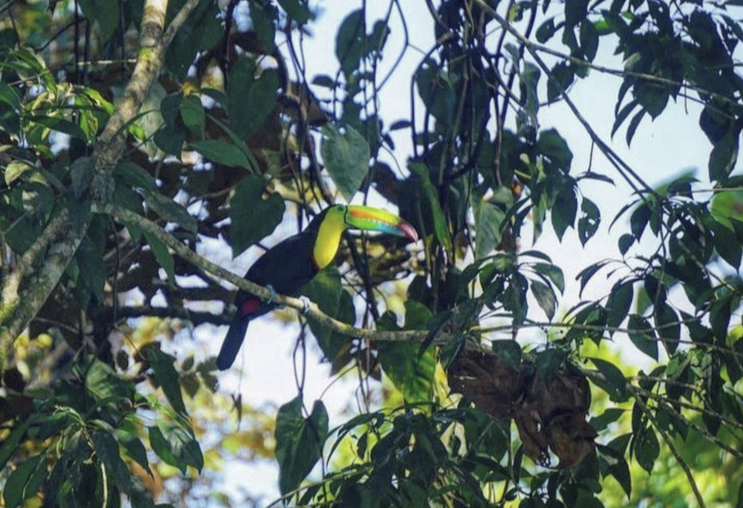 Screenshot 2026-01-19 at 14.02.20.png