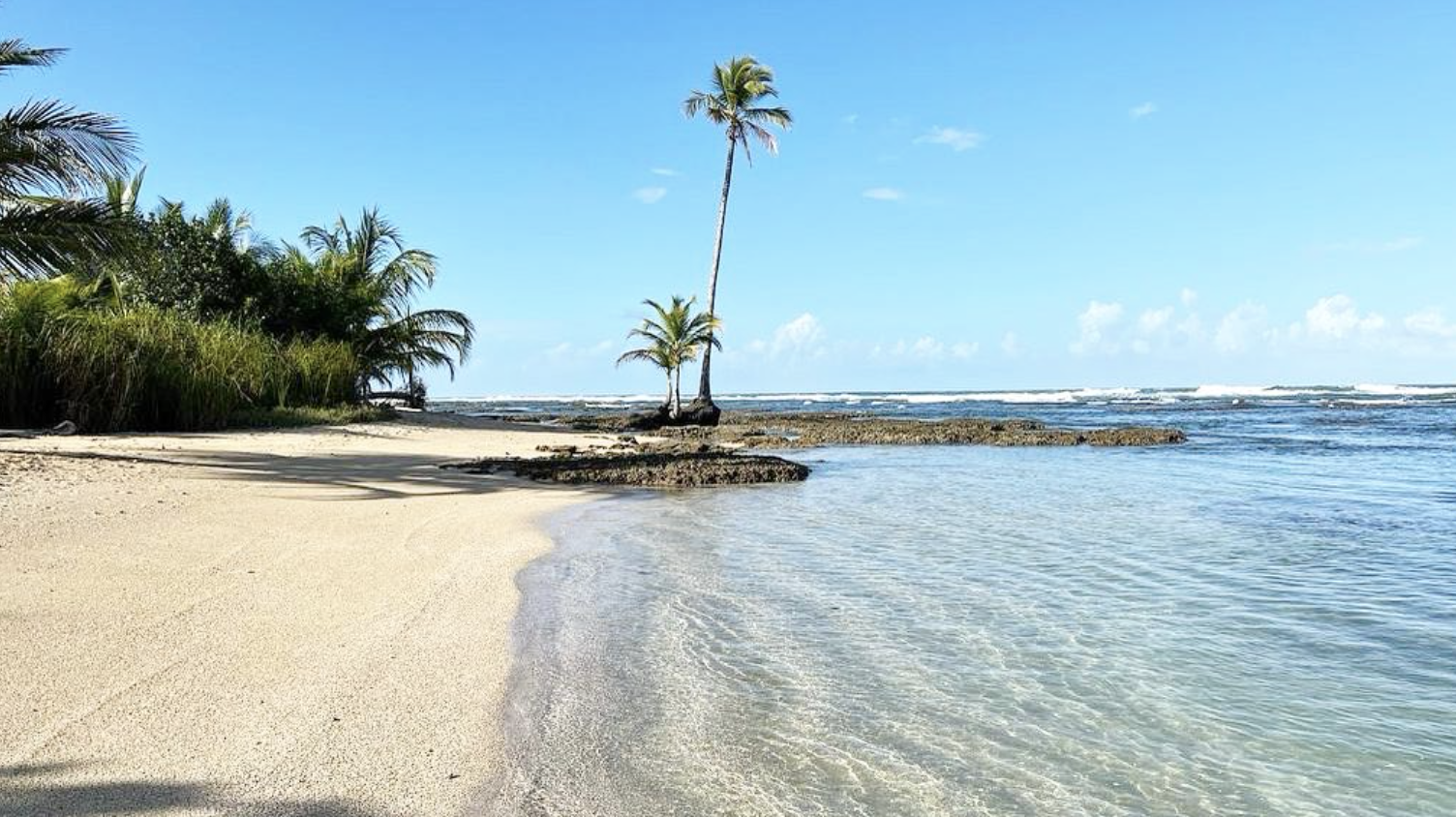 Screenshot 2026-01-16 at 12.45.39.png