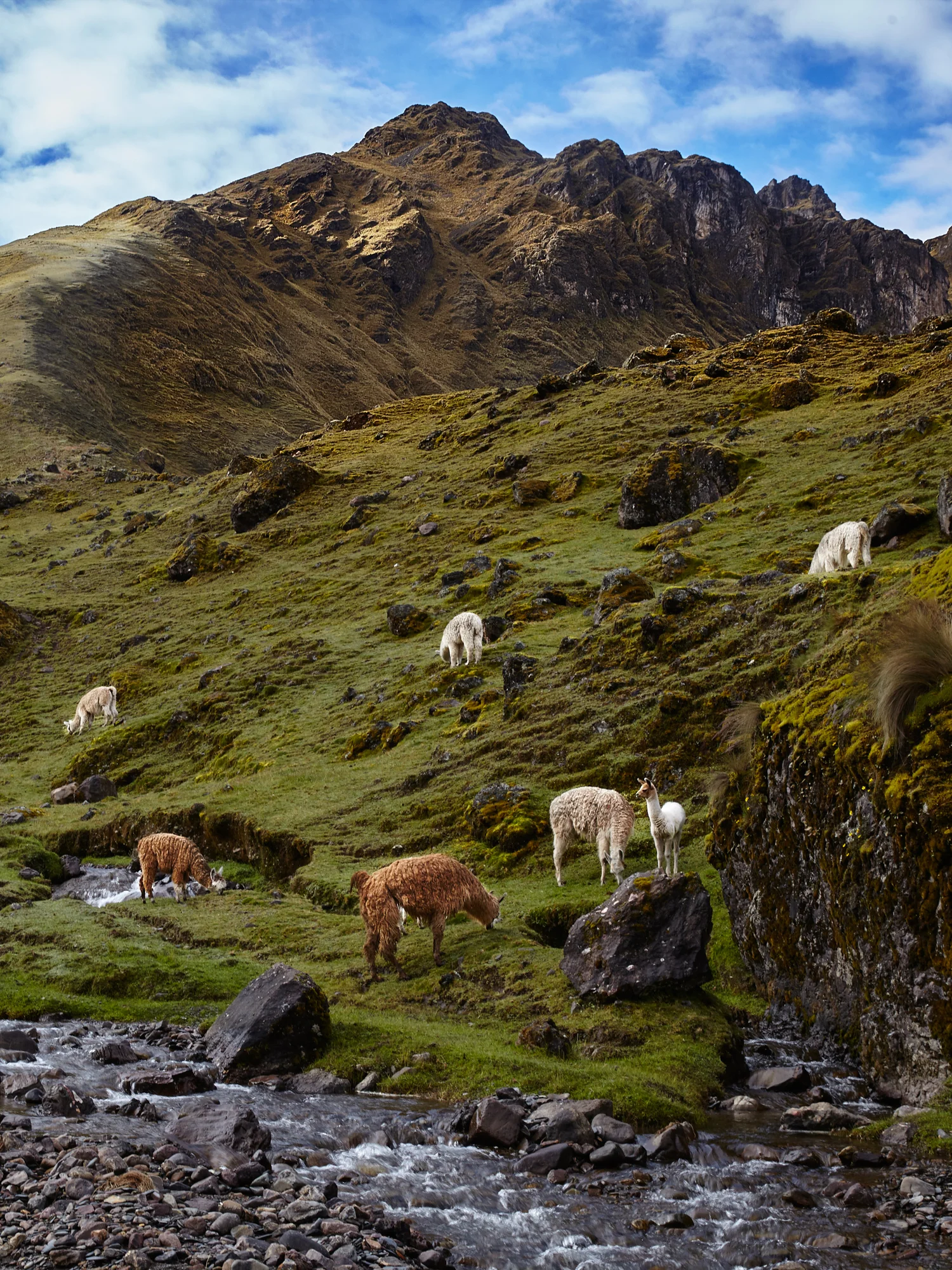 Vale_de_Lares_7269.jpg