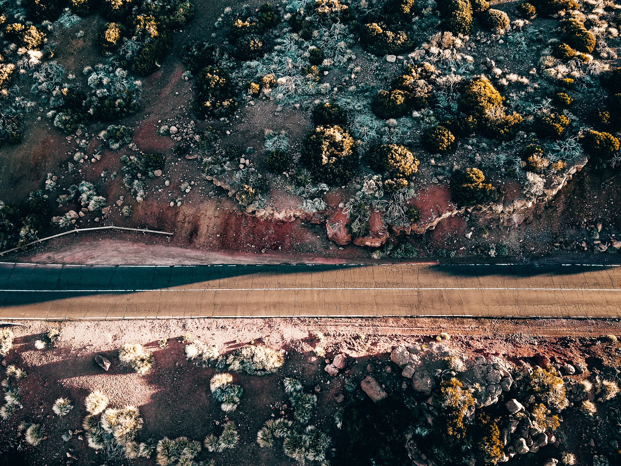 ChrisAbatzis_Tenerife_1704-0335.jpg