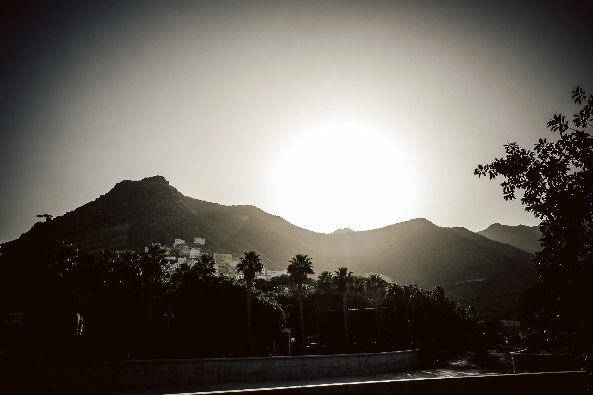 ChrisAbatzis_Tenerife_1704-7498.jpg