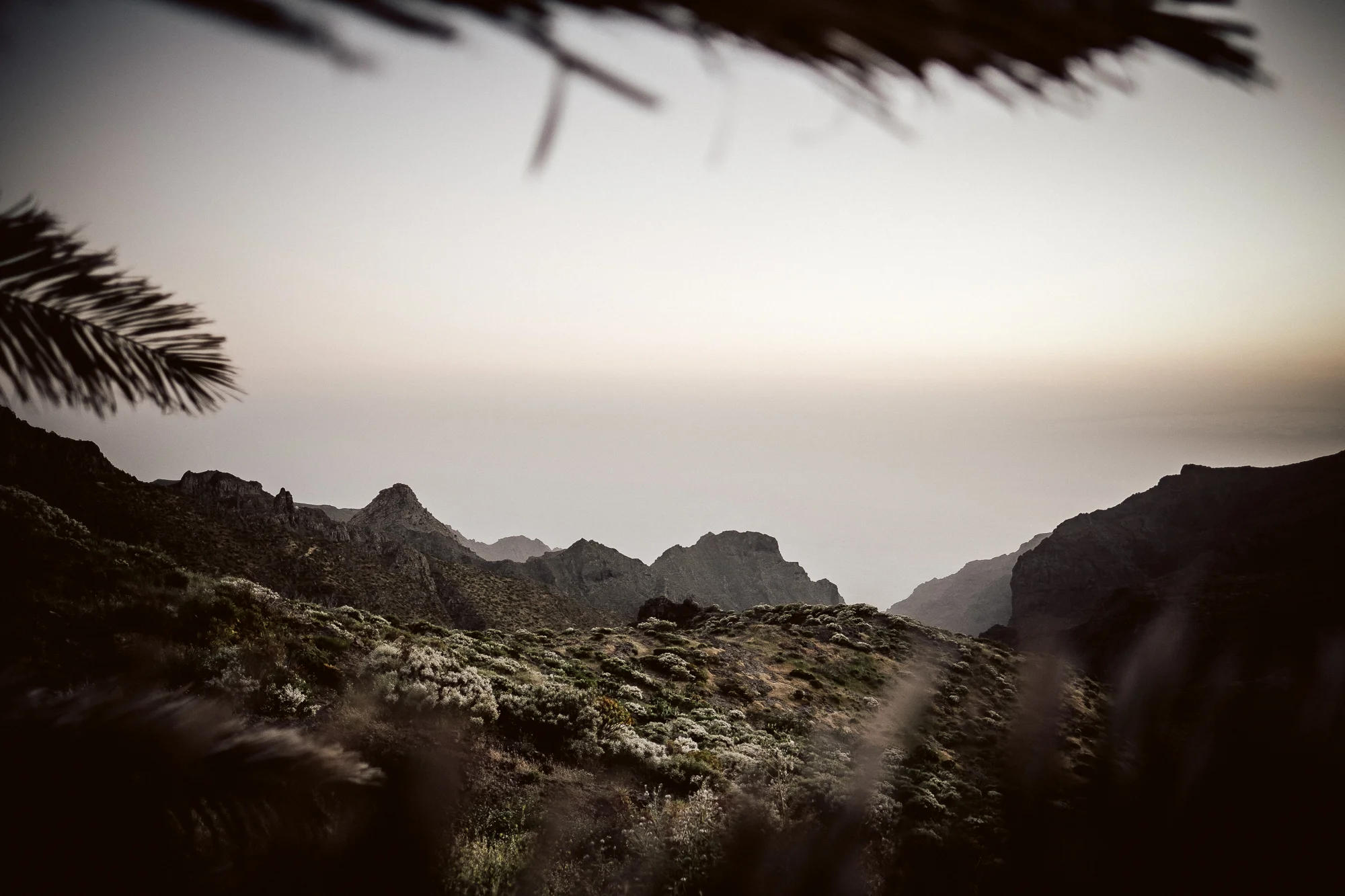ChrisAbatzis_Tenerife_1704-7574.jpg