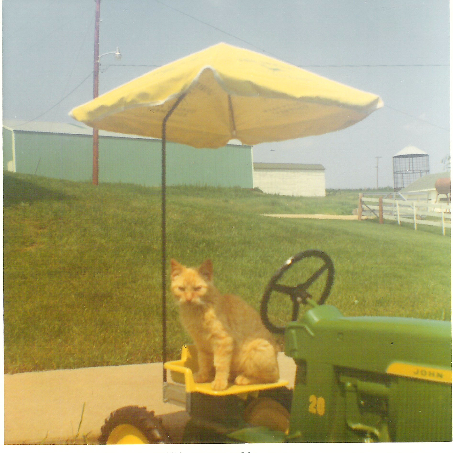 A rare shot of the pedal tractor with its umbrella attached. That didn’t last long.