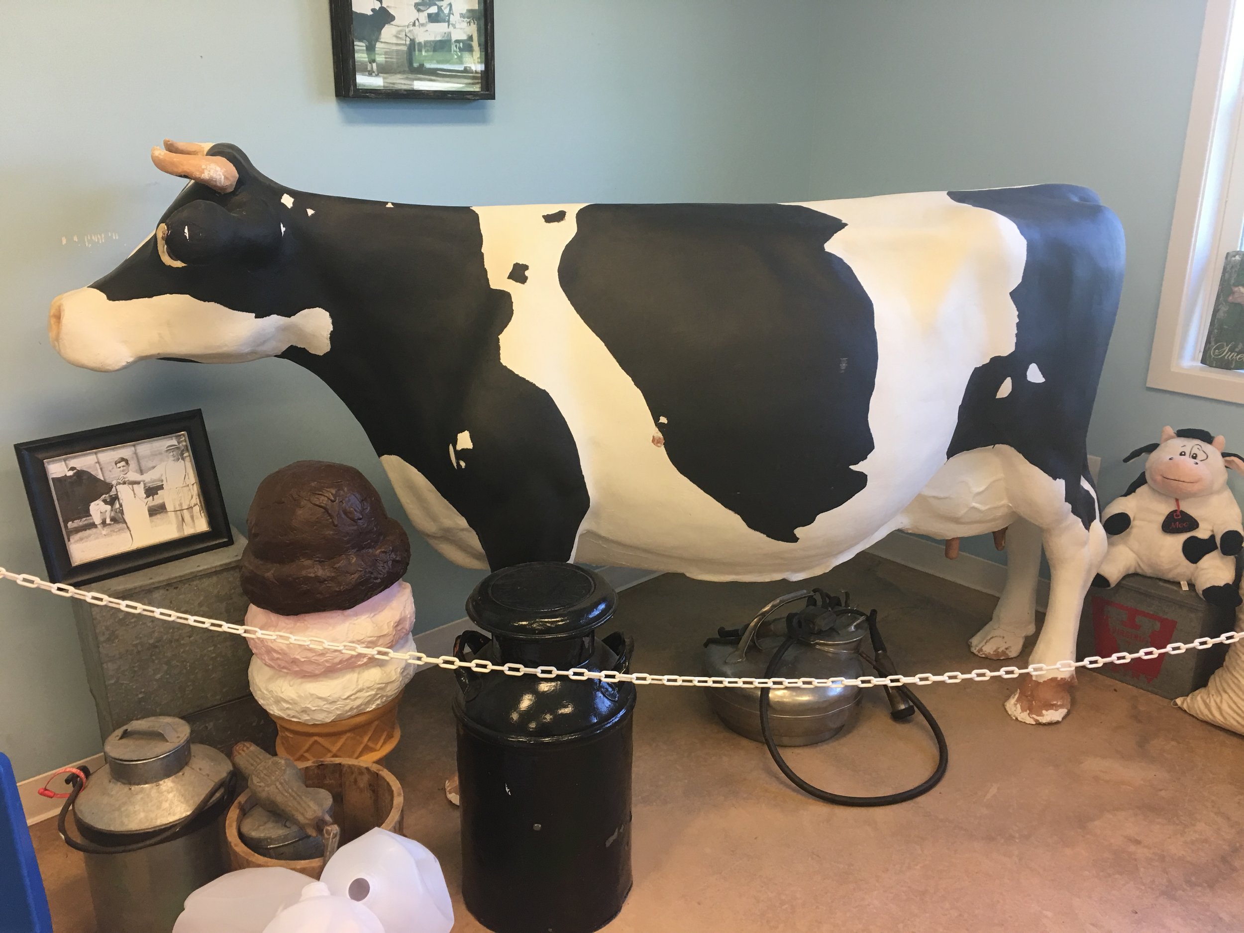 This collectible came originally from the 1947 Virginia fair and is now used for educational purposes at Maple Hill Farms.
