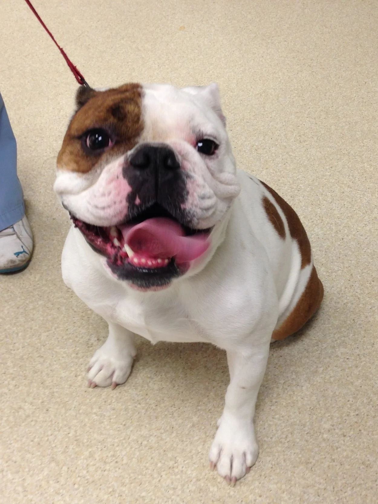 WVH Winter Newsletter