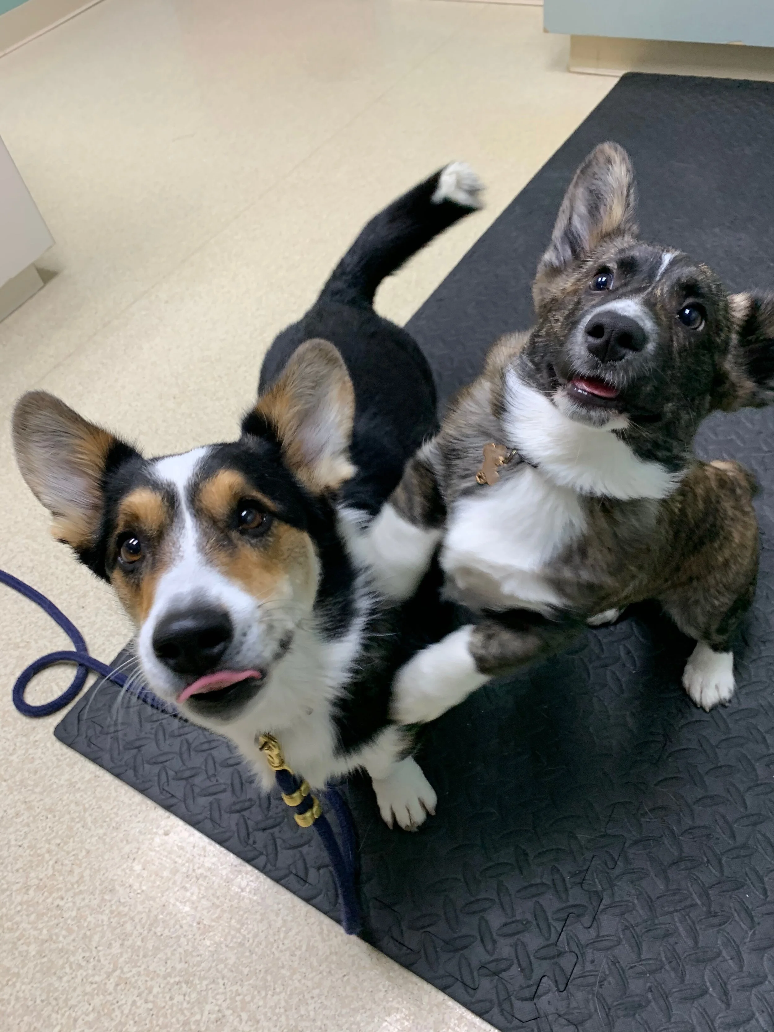 Updated Saturday Hours - Effective February 13th