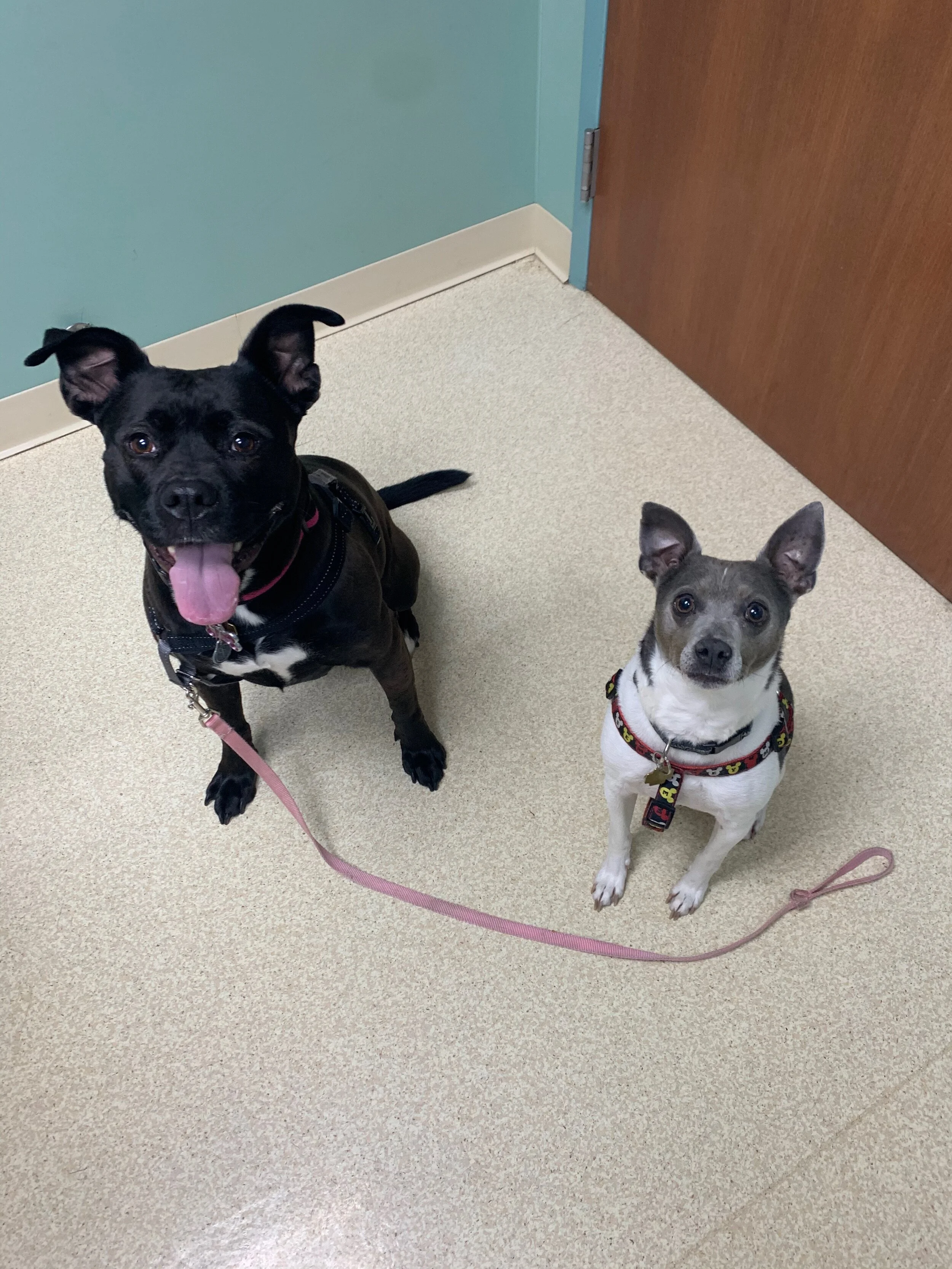 April 2021 Newsletter 