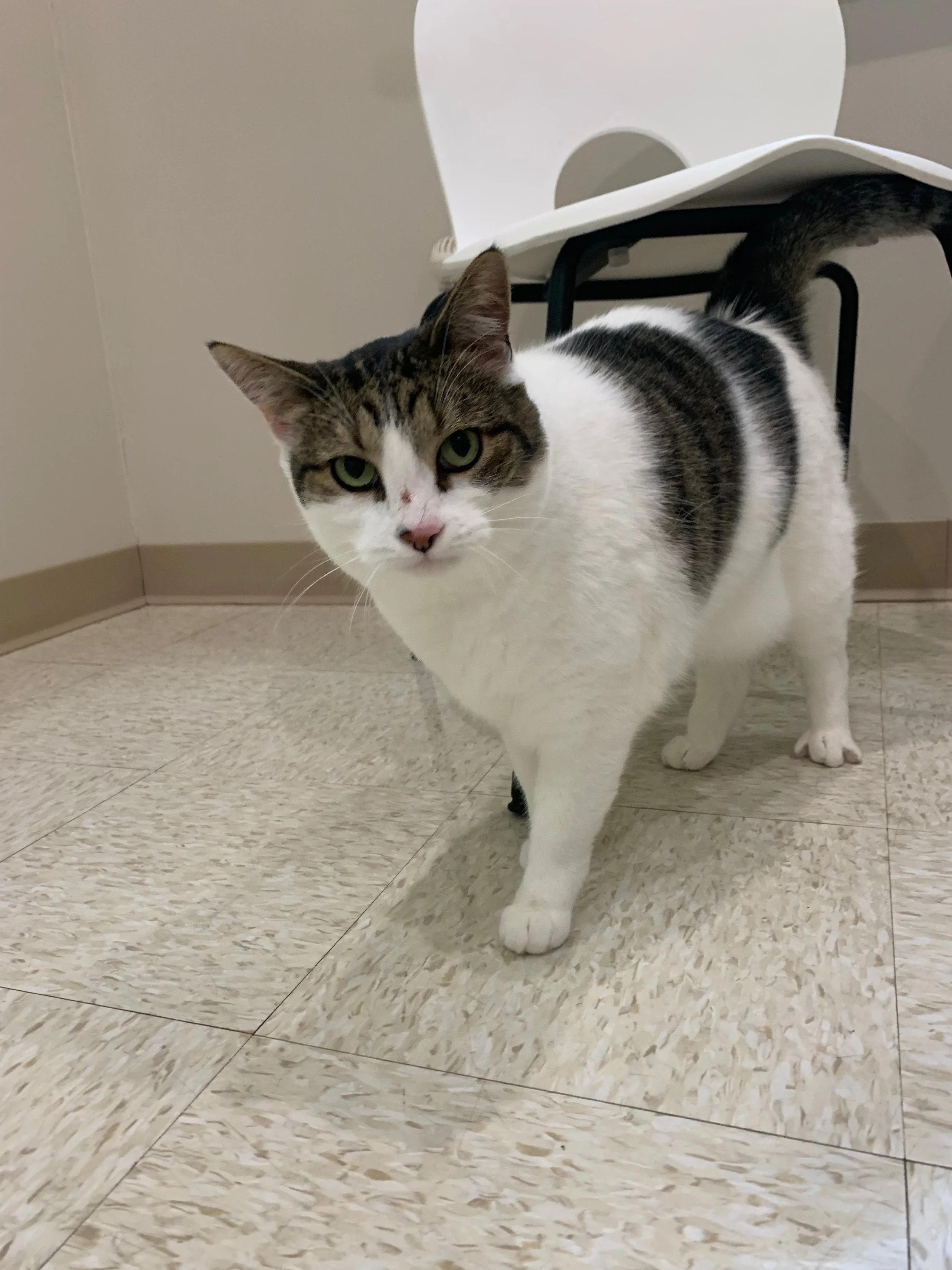 Fall 2021 Newsletter