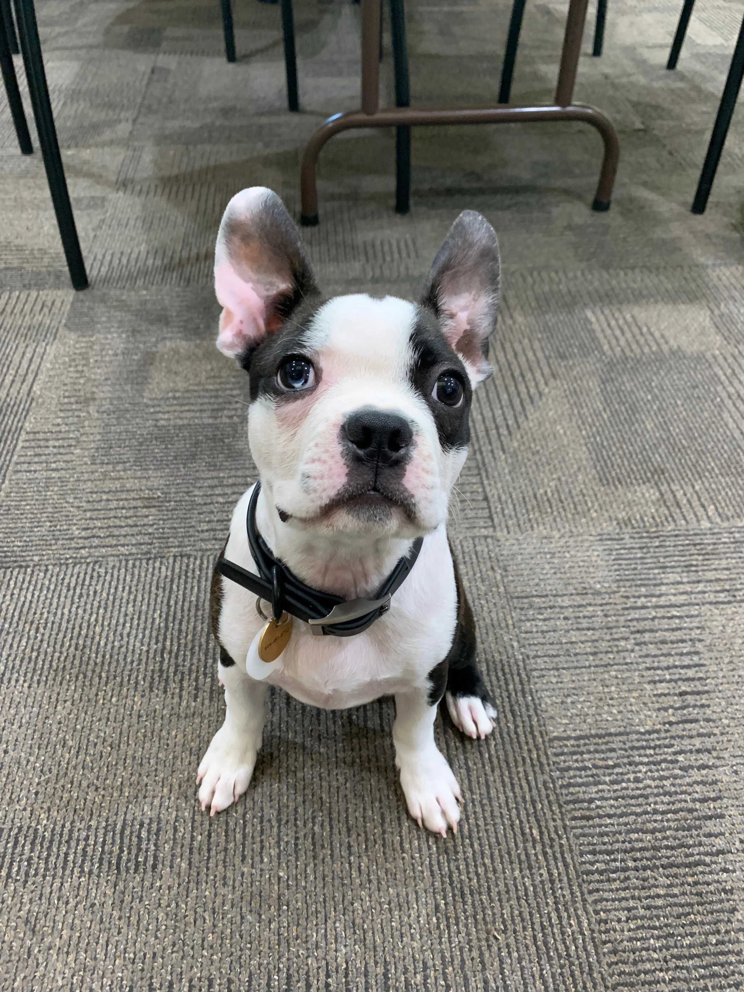 July 2022 Newsletter 