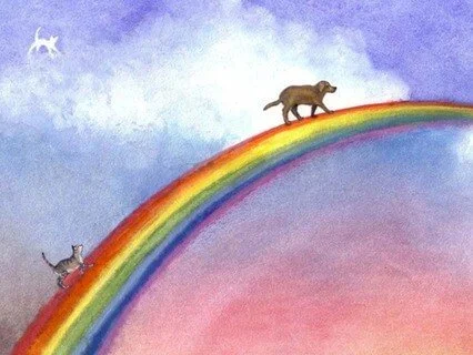 Kindred Spirits: Remembering the Pets We Have Lost