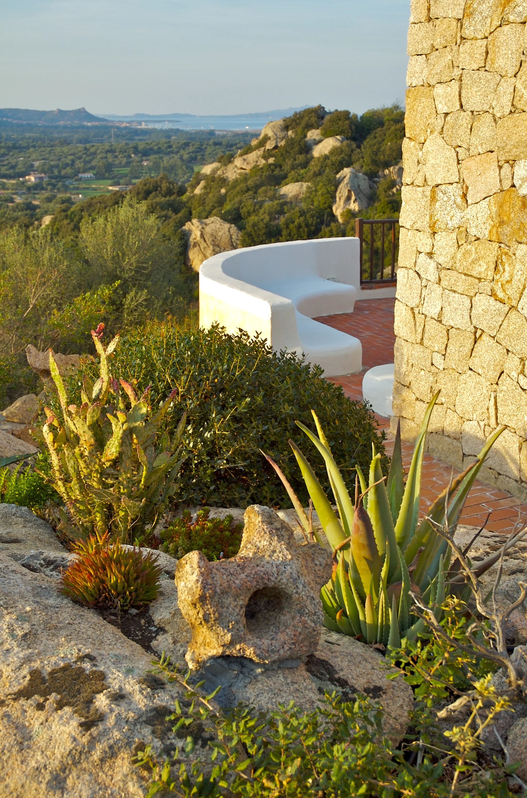 Cacti garden