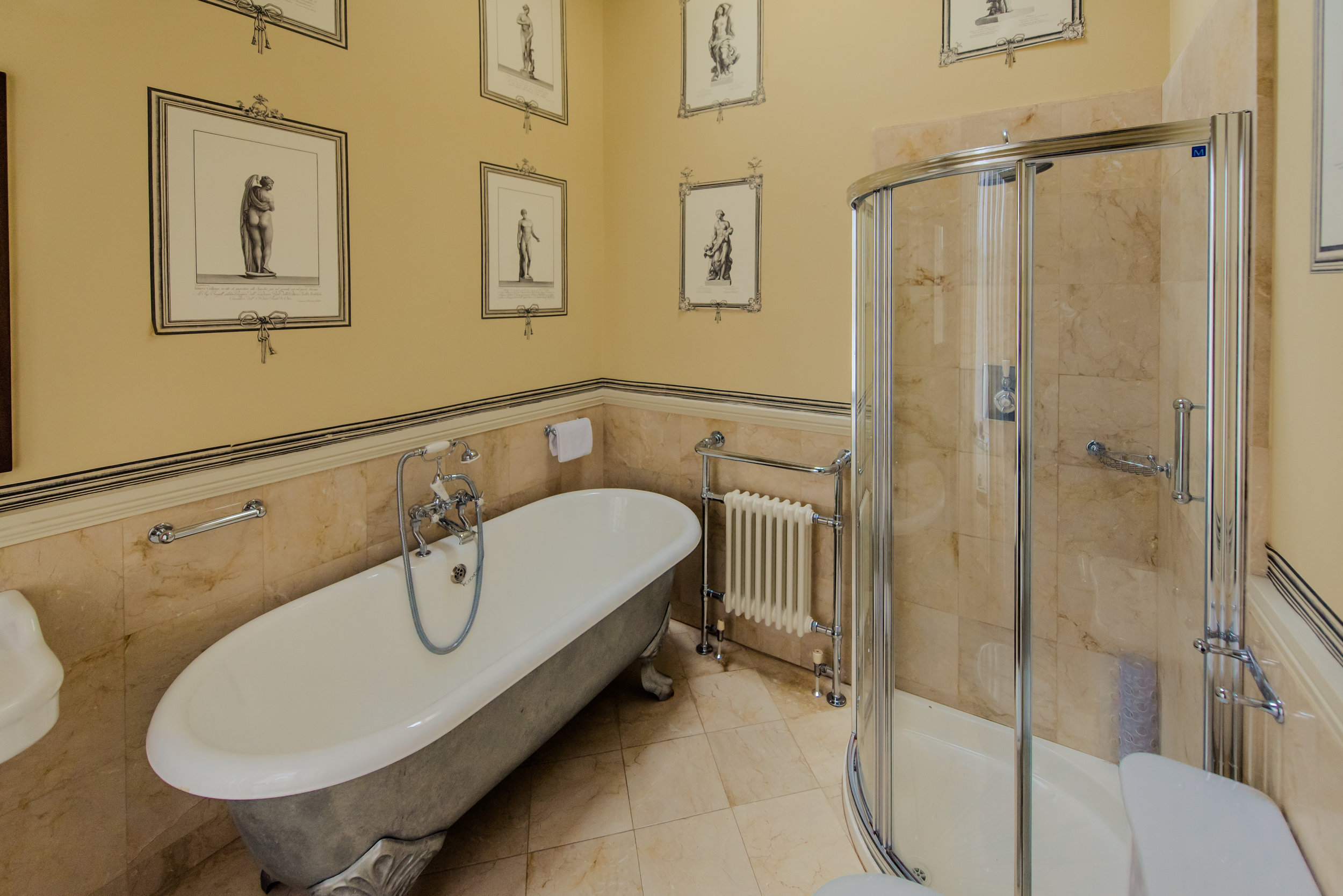 Tulfarris Hotel & Golf Resort Manor House bathroom with beautiful wallpaper and glass shower.jpg
