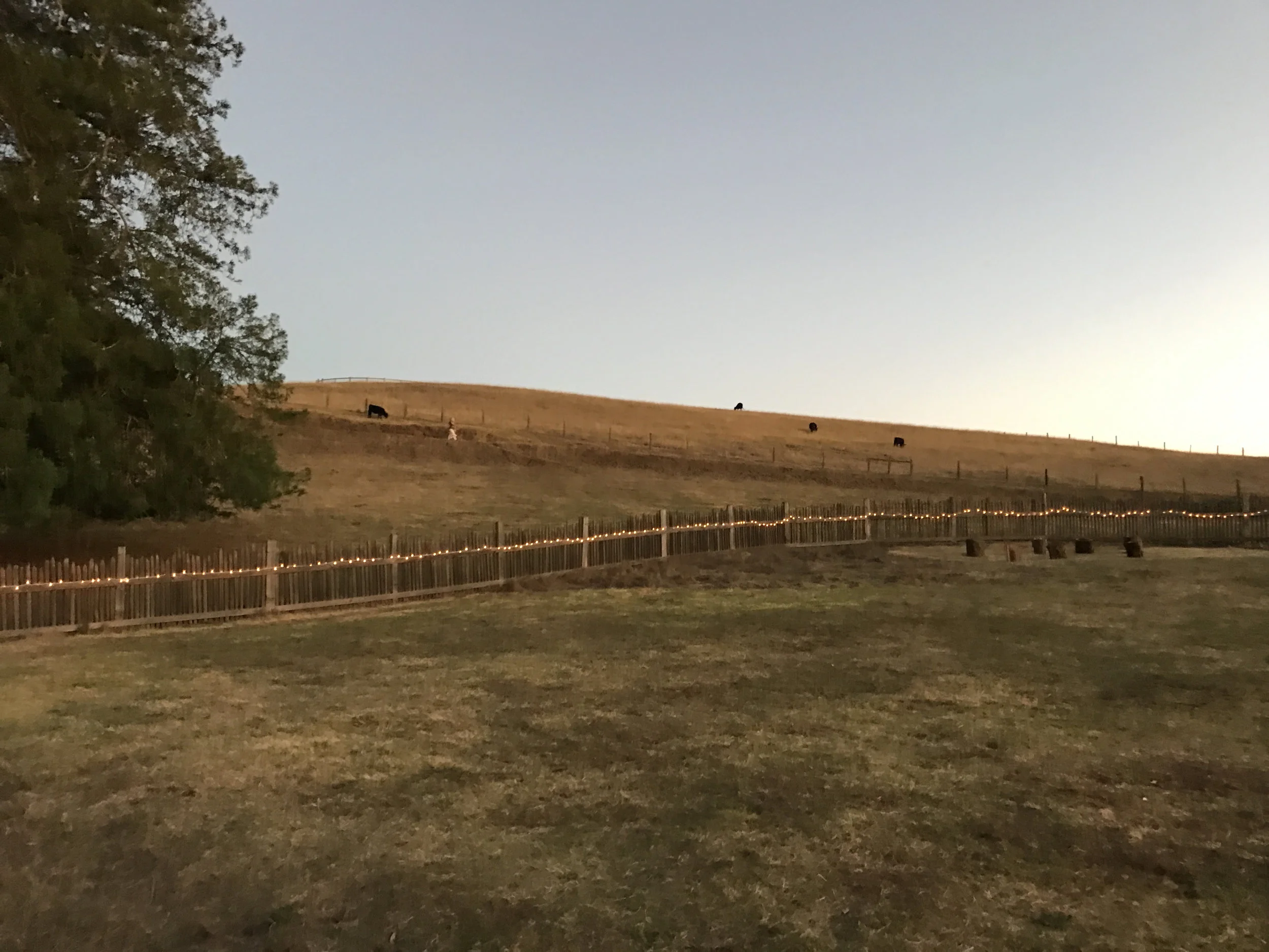 The jagged wooden fence that surrounds the ranch grounds.
