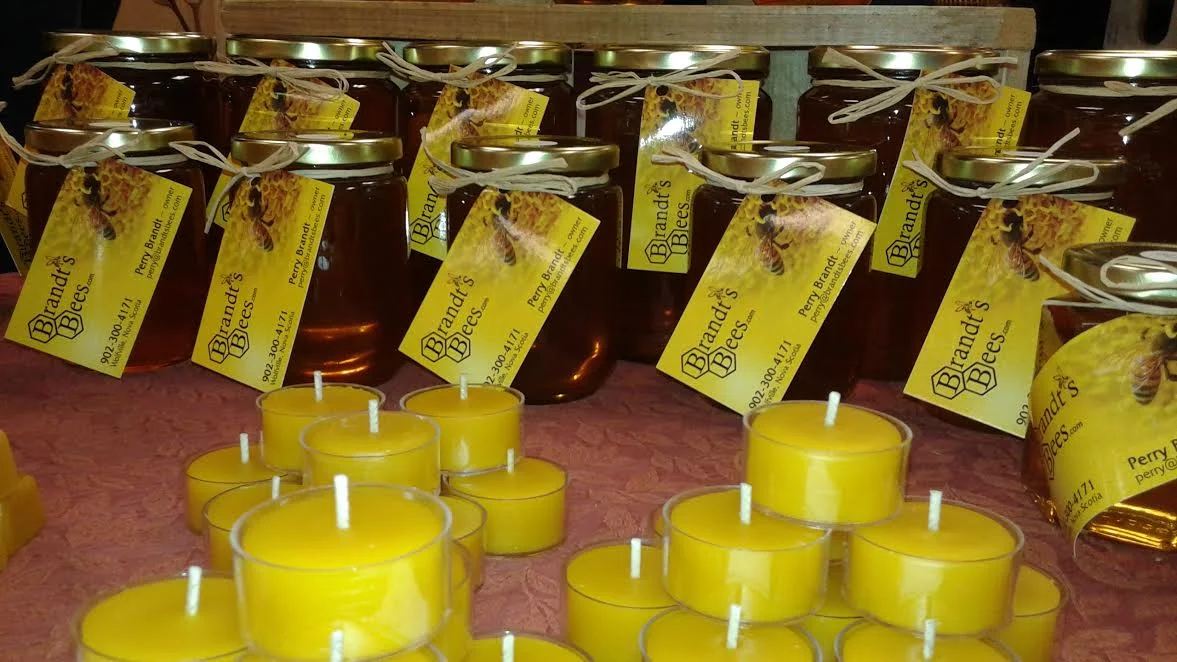 Brandt's Bees