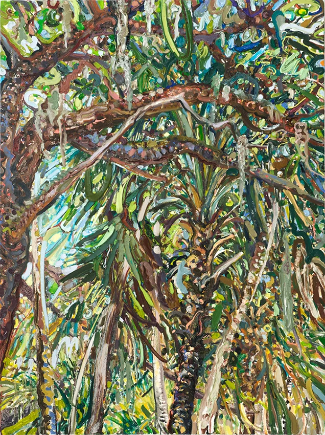 Cumulative Nature: Palms & Oaks Canopy