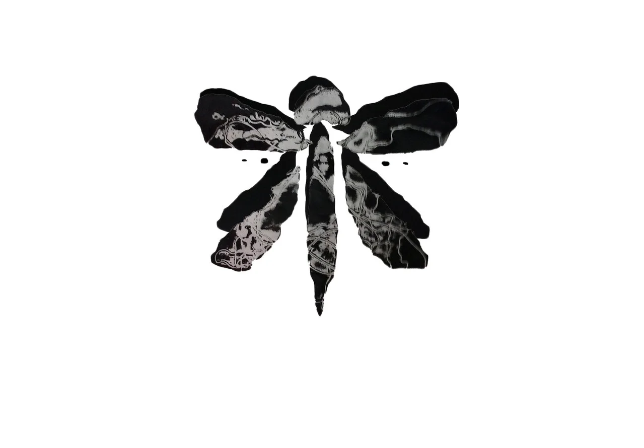 ?thespirit?dragonfly