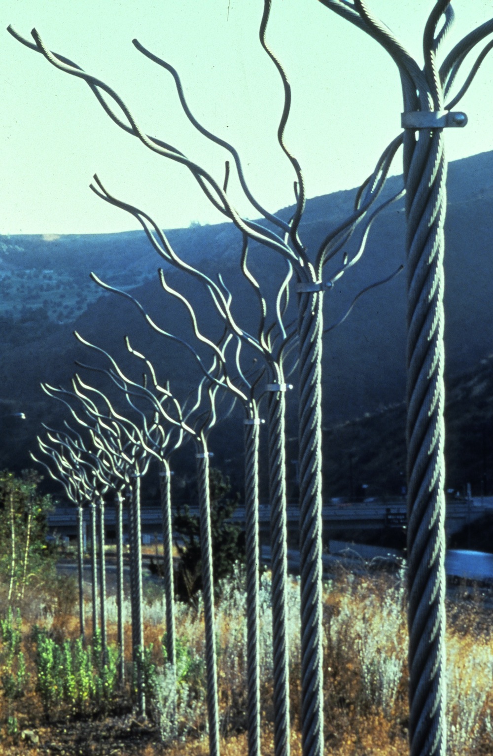 Twelve Trees #2