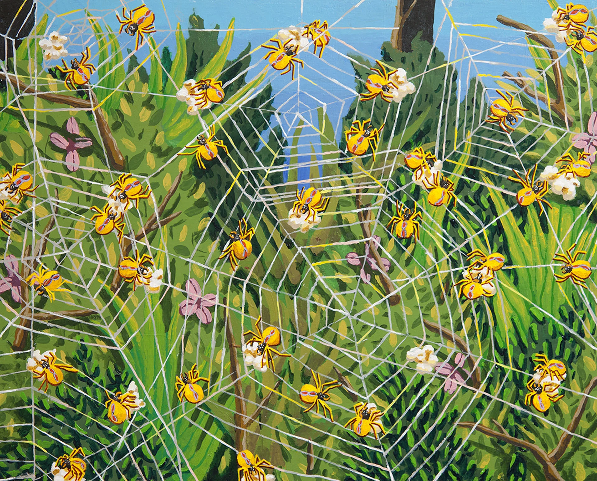 Spiders Eating Popcorn