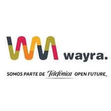 Advisor to Wayra Team and Mentor To Startups
