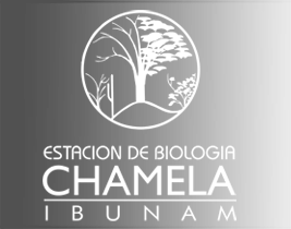 UNAM Biology Station