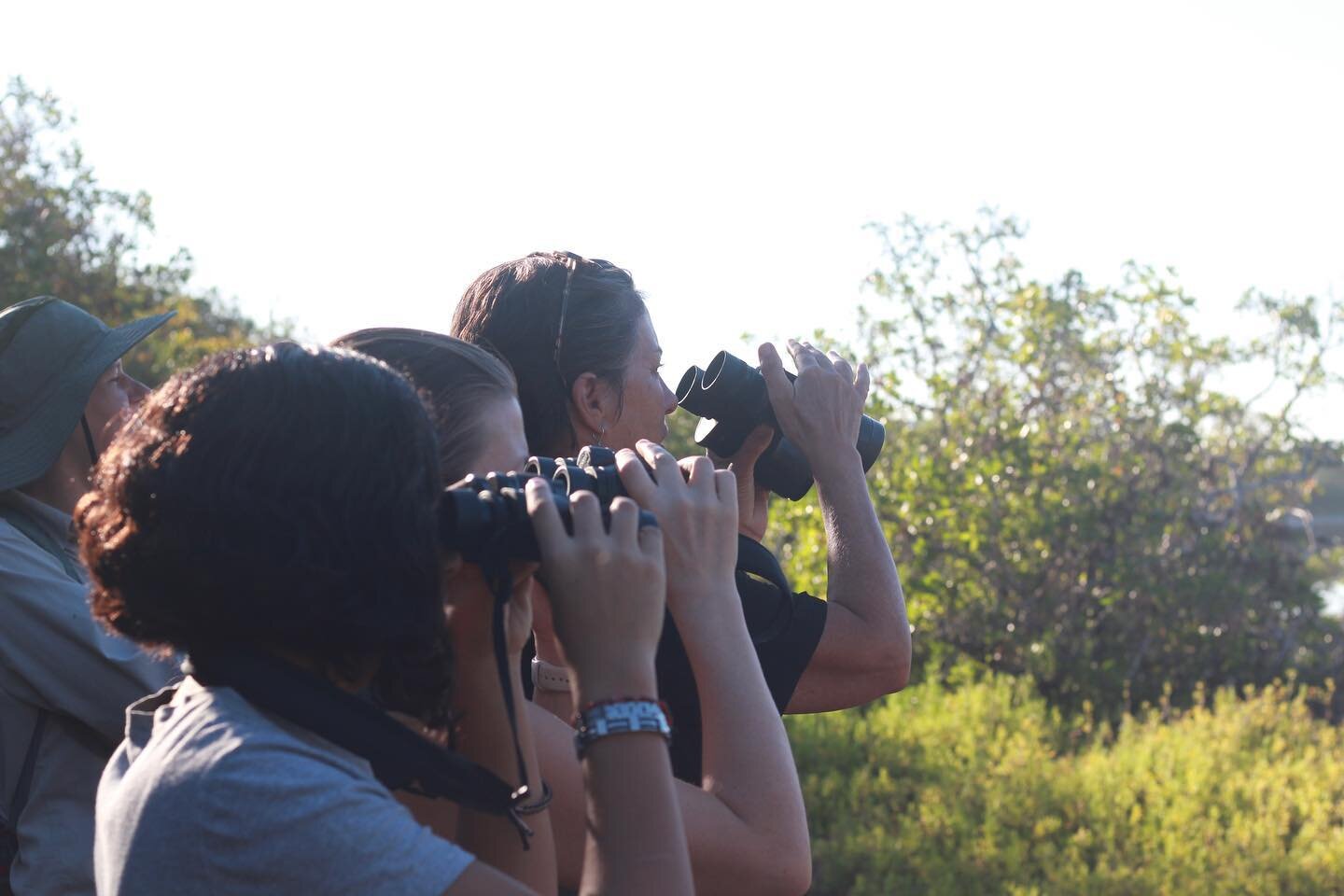 We went birdwatching to celebrate World Wetlands Day! 🌾

Did you know that wetlands are critically important ecosystems used by birds for breeding, nesting, and rearing young? 
Right here in Careyes we have wetlands of internationally recognized imp