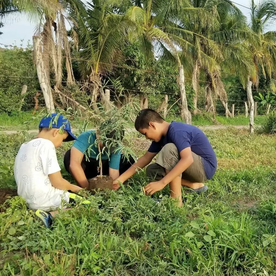 To celebrate Earth Day this year, we spoke to 109 secondary students about environmental issues and what they can do to help protect our planet 🌎They are currently designing environmentally-themed murals to paint in their school! 
-
Through our envi