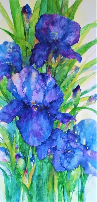 iris (2).jpg