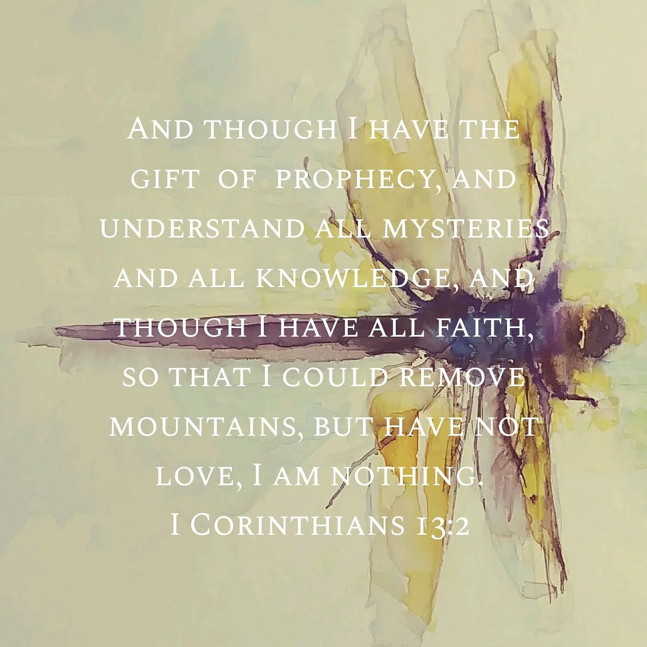 tandragonflywscripture.jpg