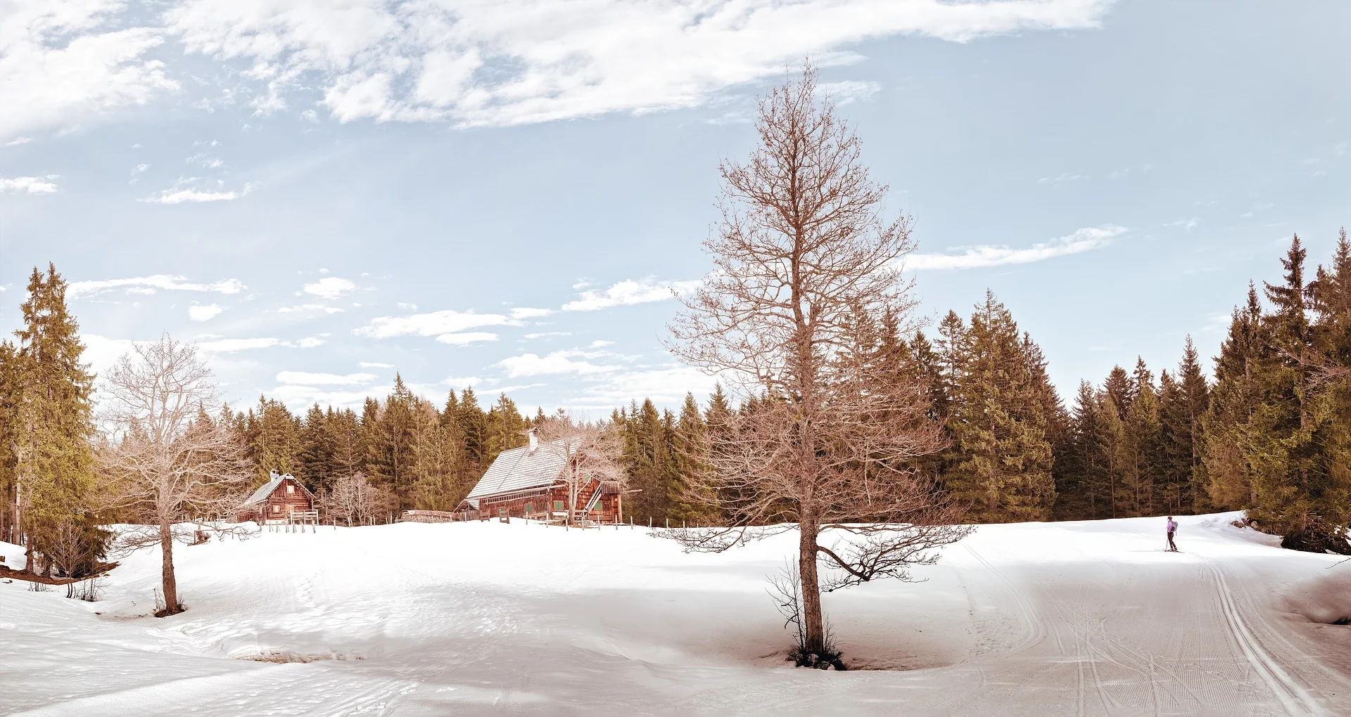 wintry-2153862_1920.jpg