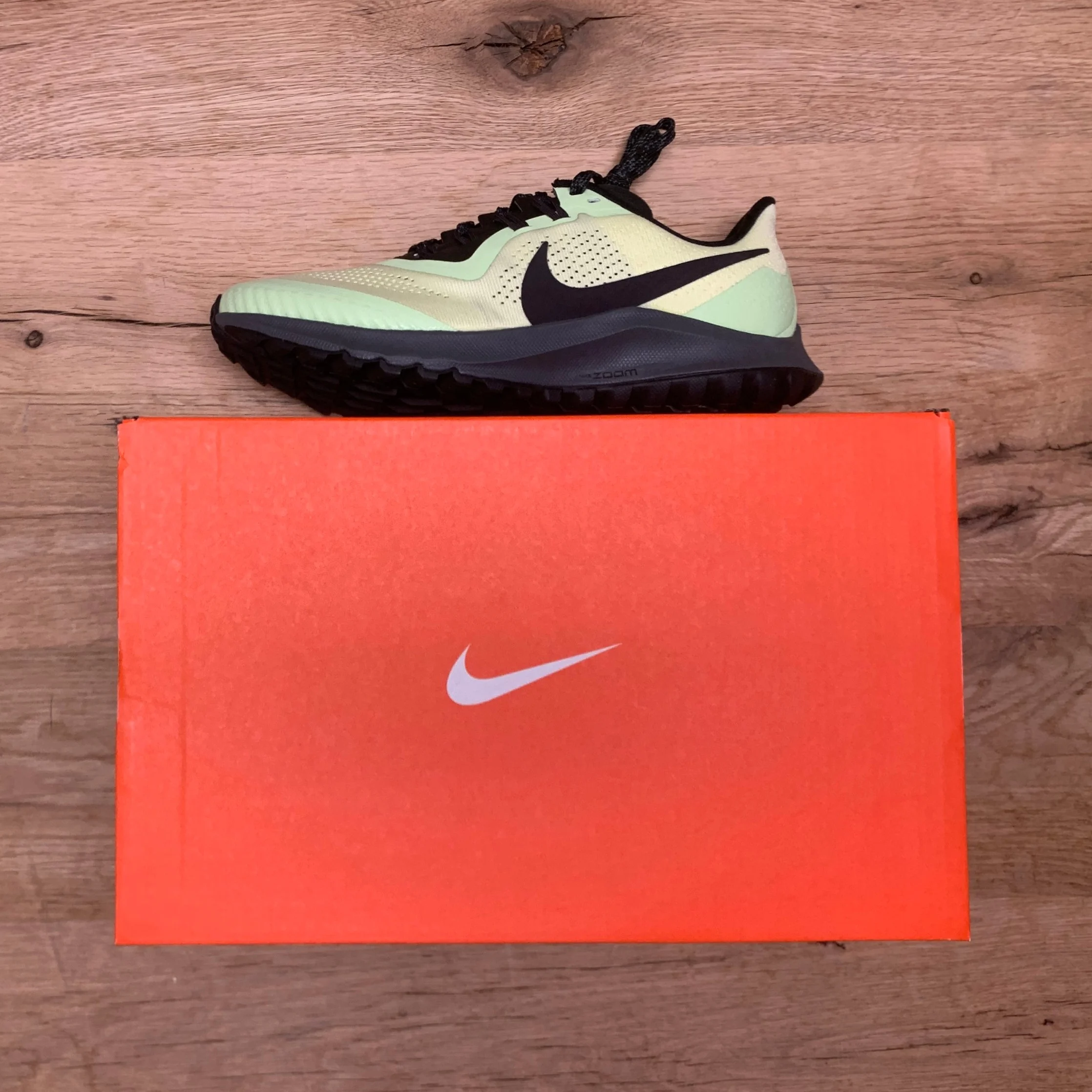Nike Pegasus - Women’s