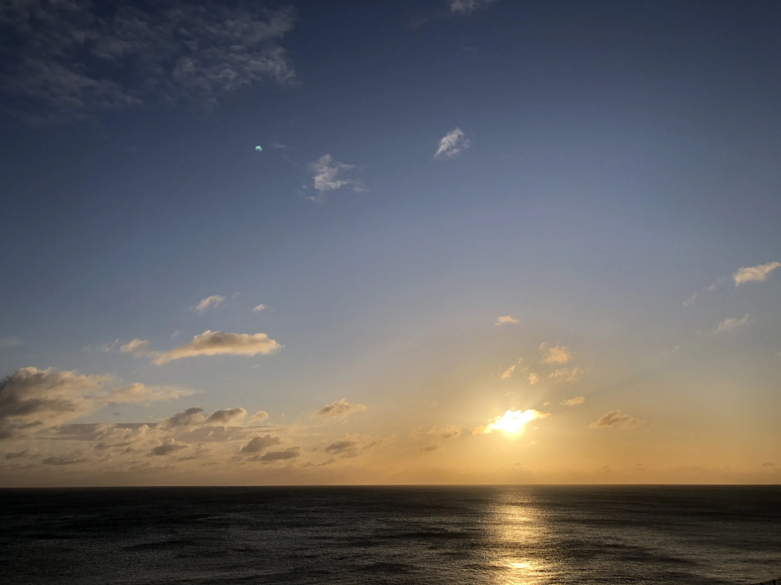 IMG-4887.JPG