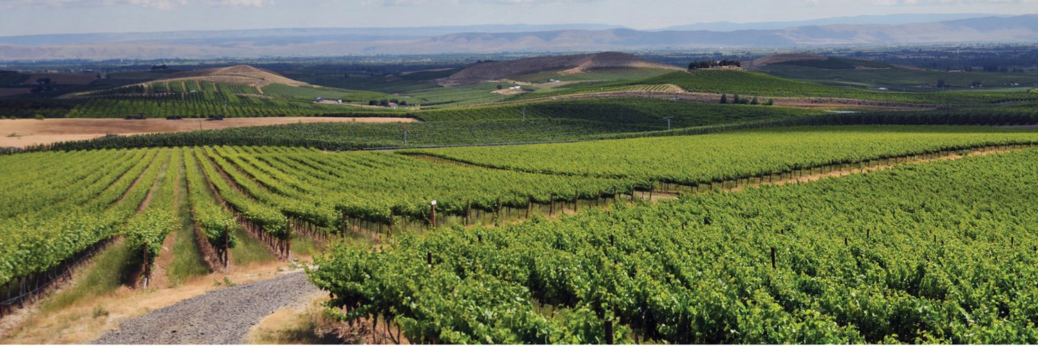 Dentist Yakima Wa  - Dentist Yakima Wa Usa Yakima Smiles Reep Family Dental John B.