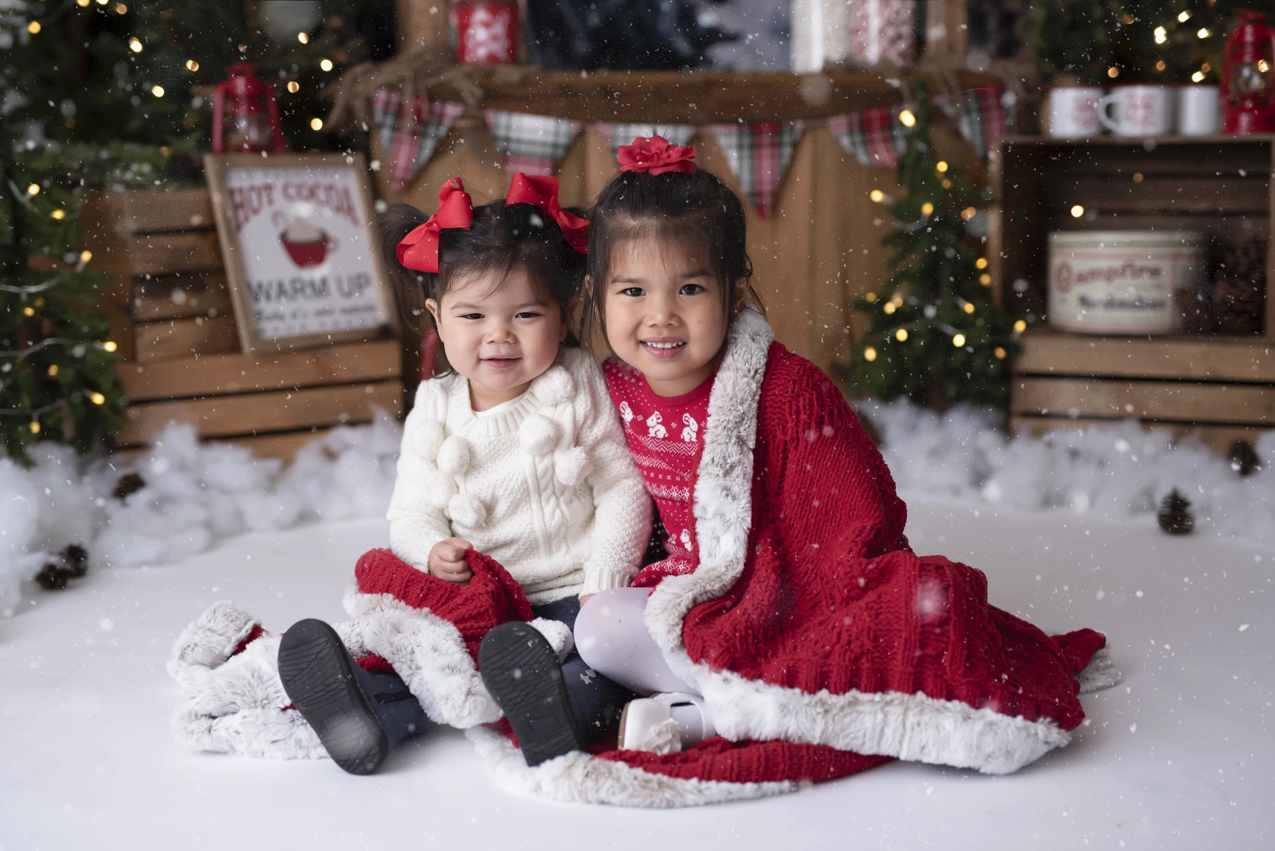 D7C_9142snow.jpg