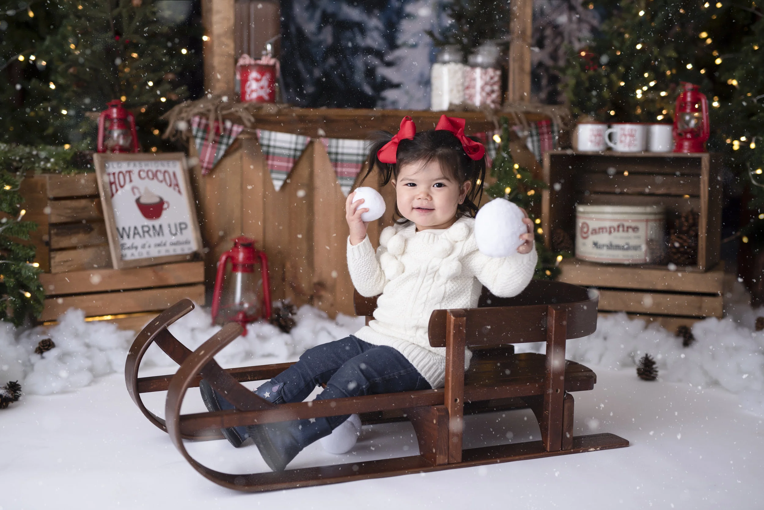 D7C_9143snow.jpg