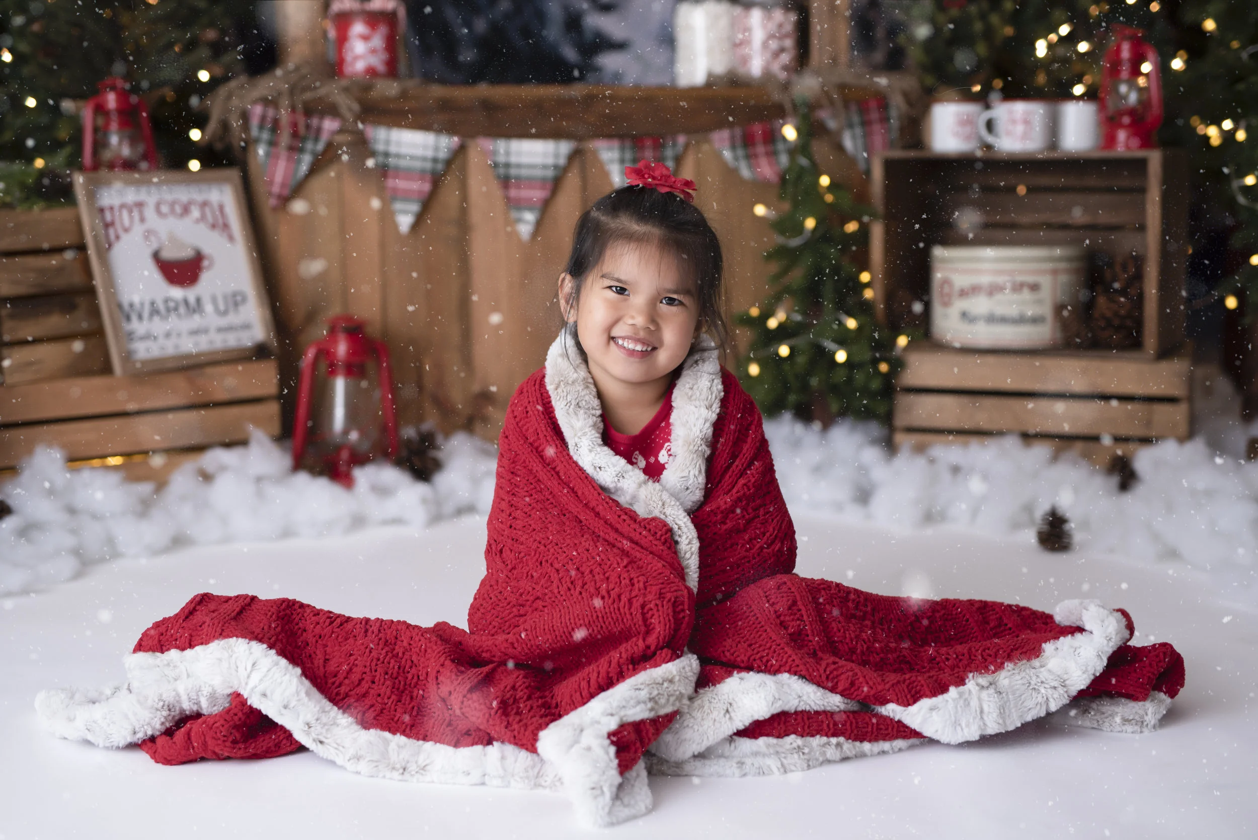 D7C_9134snow.jpg