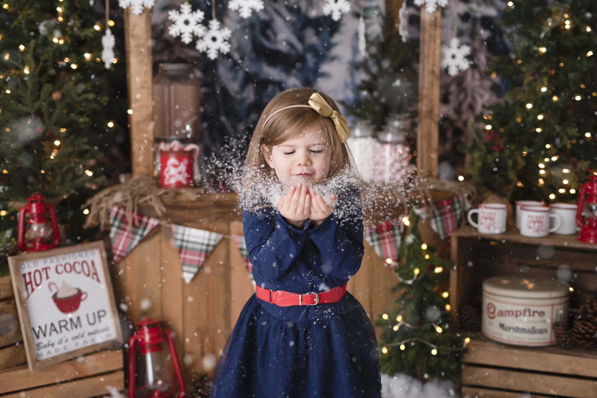D7C_9584snow.jpg