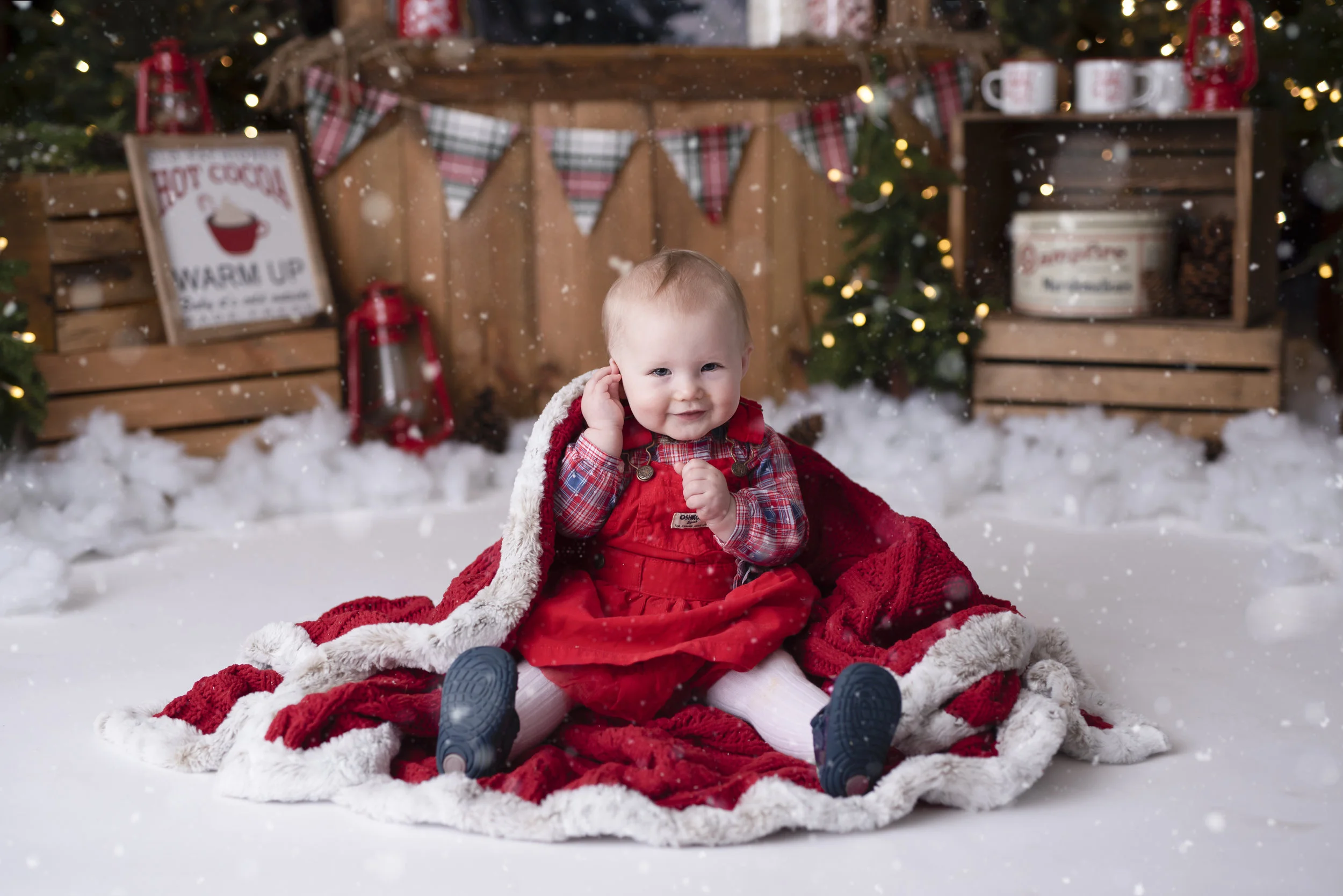 D7C_9566snow.jpg