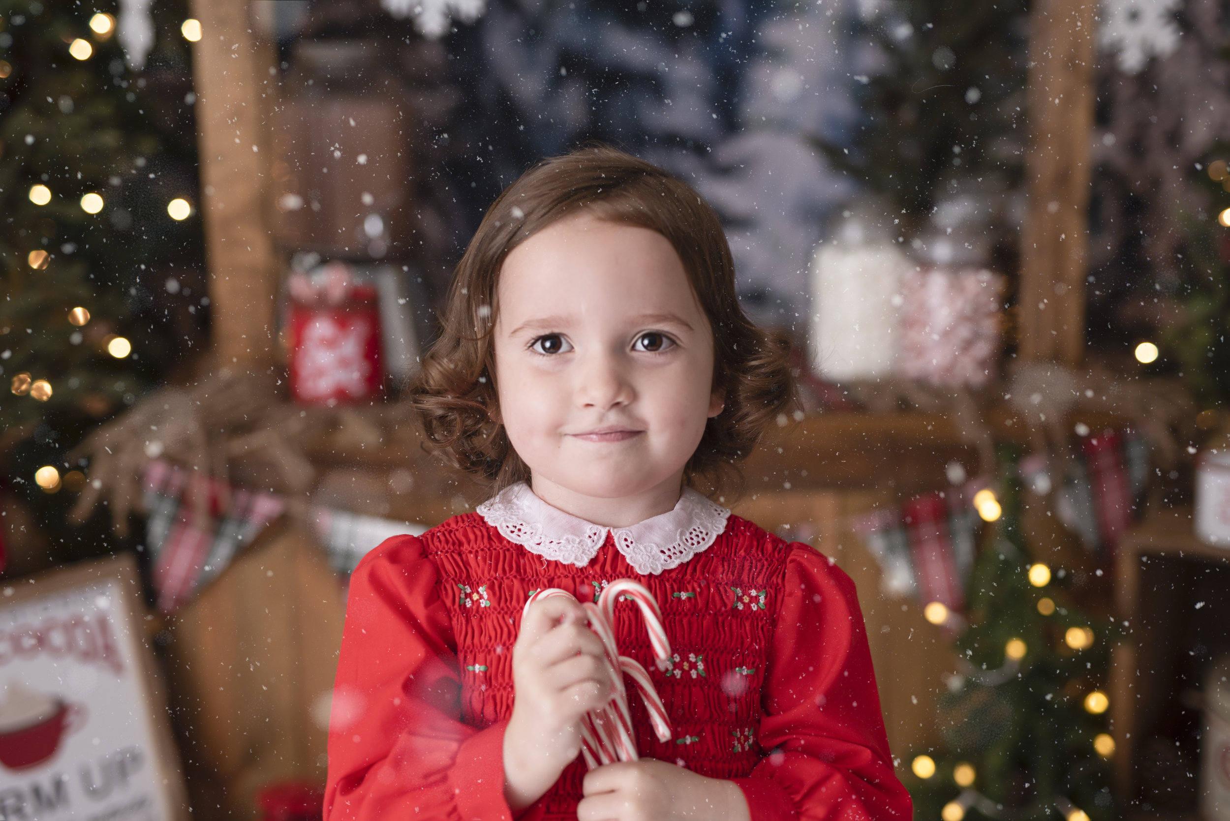 D7C_9257snow.jpg